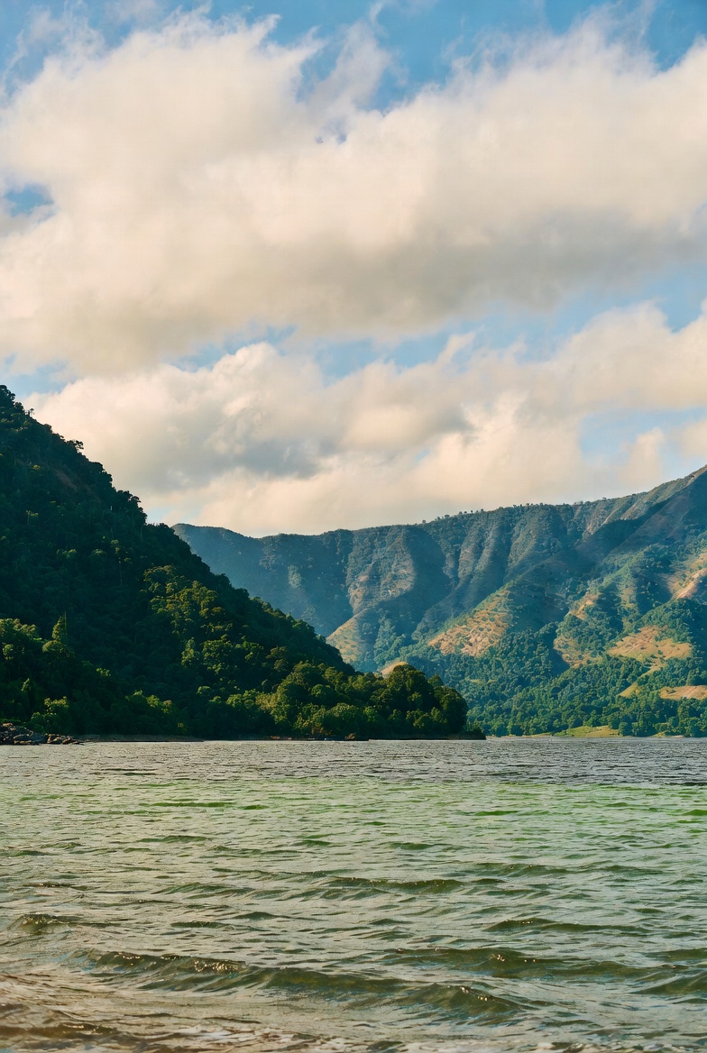 Camino entre árboles: el momento es ahora